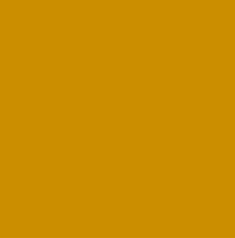 RAL-1005-honey-yellow.jpg